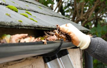 gutter cleaning Moyle