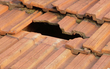 roof repair Moyle